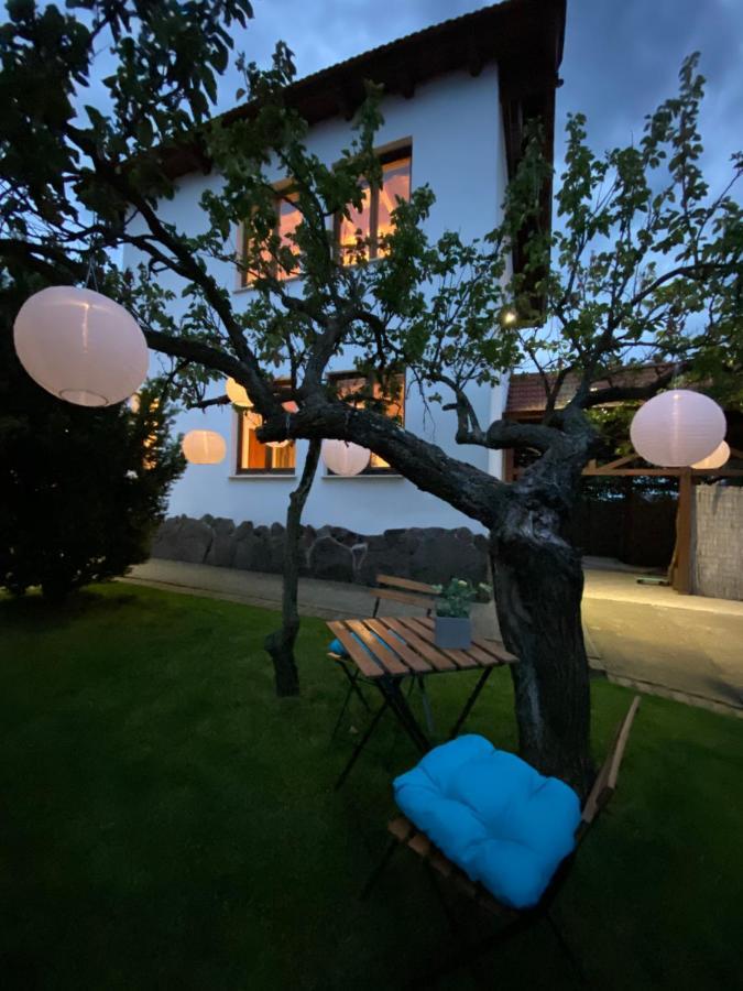 Amazing Cottage Home Cetariu Екстер'єр фото